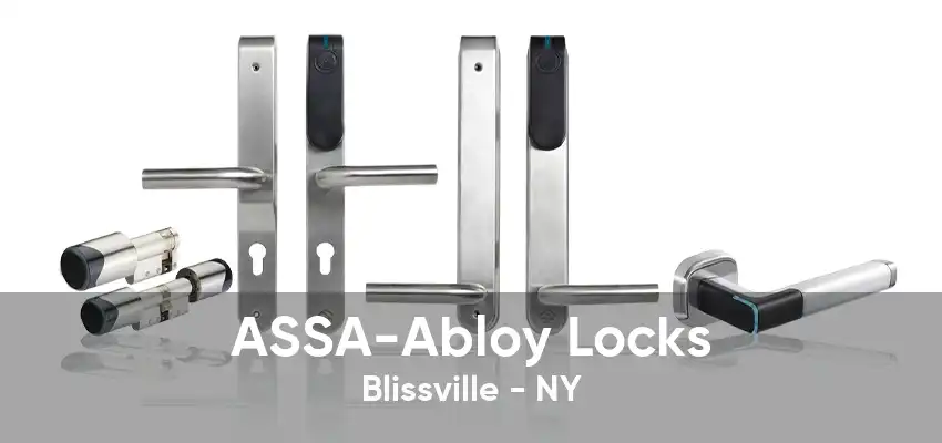 ASSA-Abloy Locks Blissville - NY