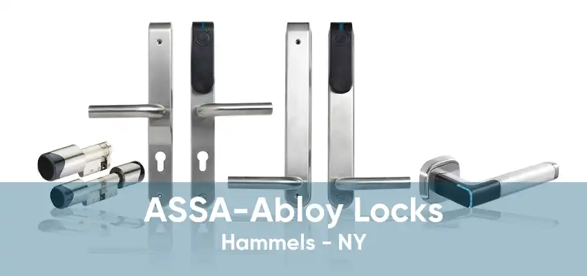 ASSA-Abloy Locks Hammels - NY