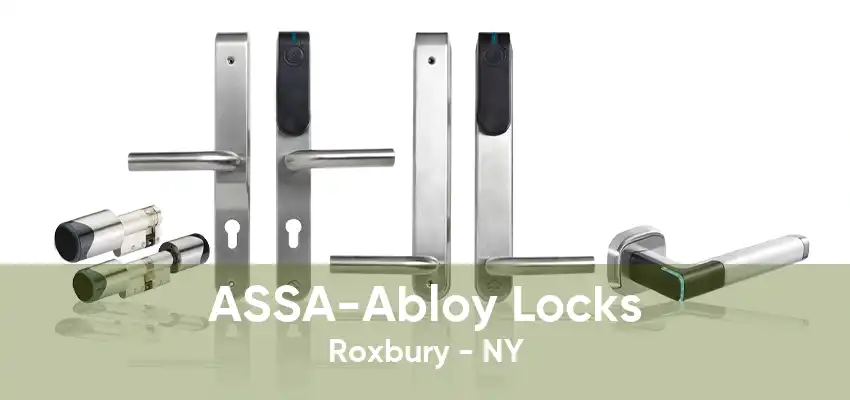 ASSA-Abloy Locks Roxbury - NY