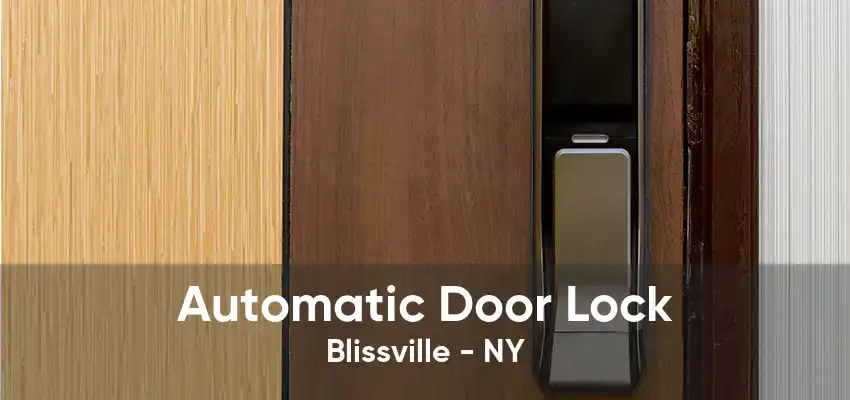 Automatic Door Lock Blissville - NY