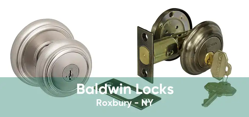 Baldwin Locks Roxbury - NY