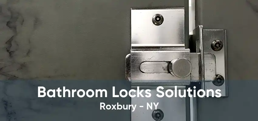 Bathroom Locks Solutions Roxbury - NY