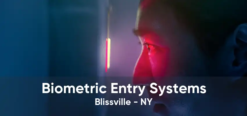 Biometric Entry Systems Blissville - NY