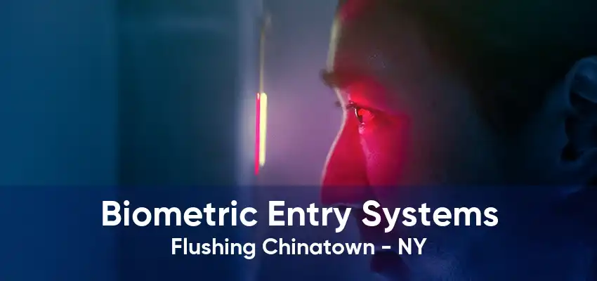 Biometric Entry Systems Flushing Chinatown - NY