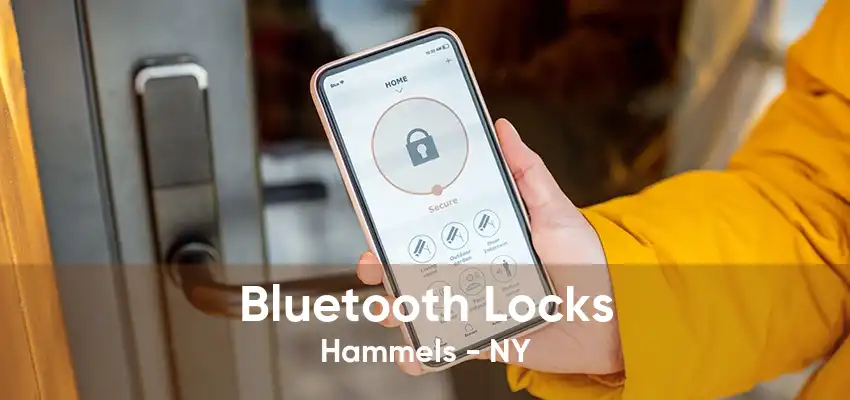 Bluetooth Locks Hammels - NY