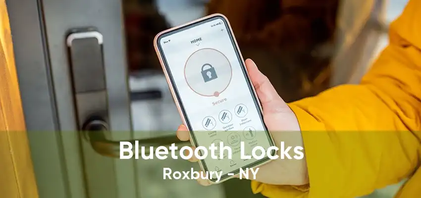Bluetooth Locks Roxbury - NY