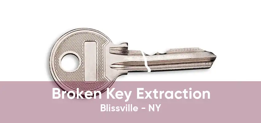 Broken Key Extraction Blissville - NY