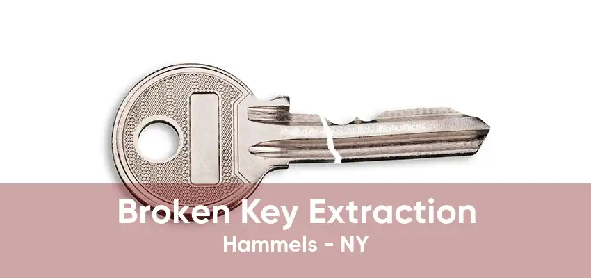 Broken Key Extraction Hammels - NY