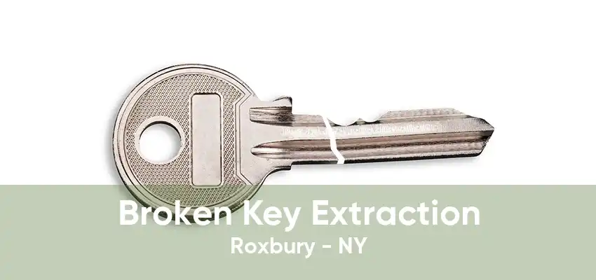 Broken Key Extraction Roxbury - NY