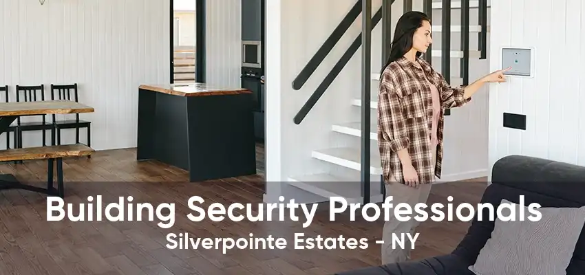 Building Security Professionals Silverpointe Estates - NY
