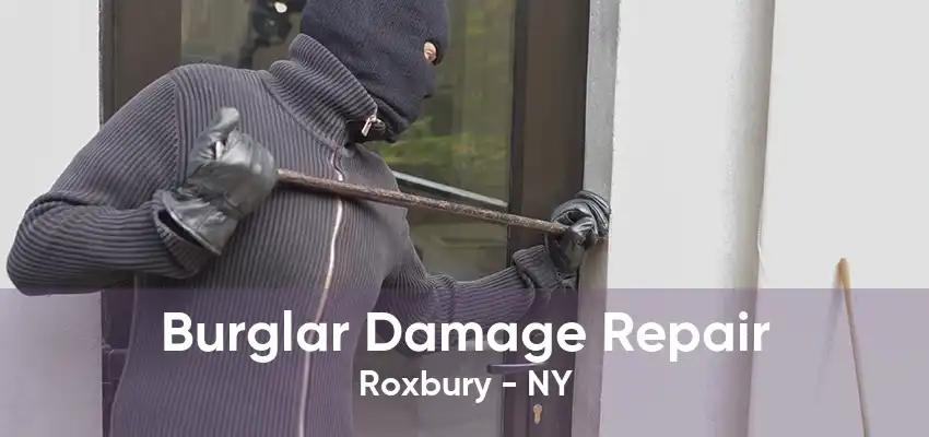 Burglar Damage Repair Roxbury - NY