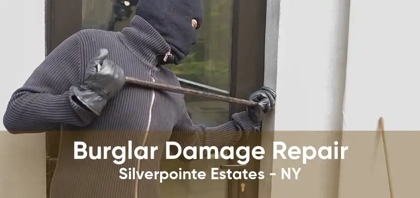 Burglar Damage Repair Silverpointe Estates - NY