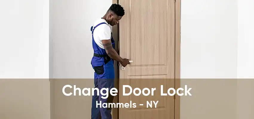 Change Door Lock Hammels - NY