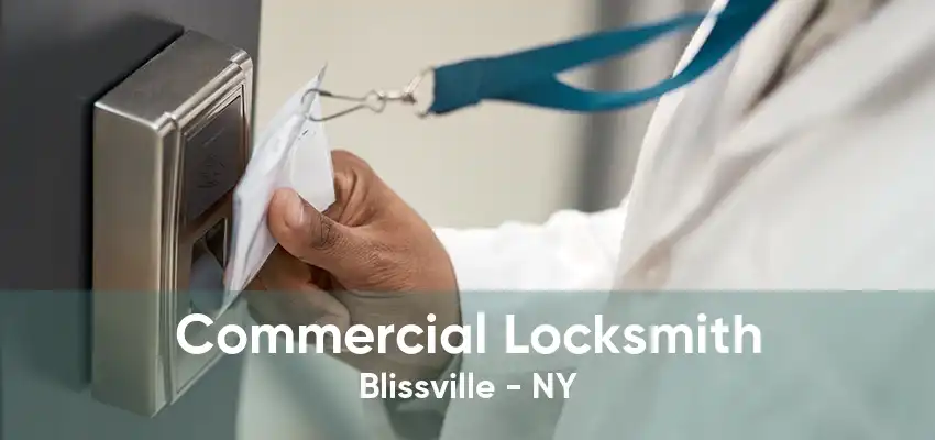 Commercial Locksmith Blissville - NY