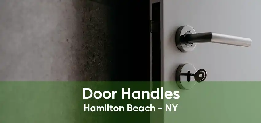 Door Handles Hamilton Beach - NY