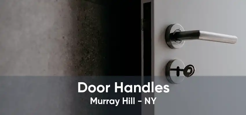 Door Handles Murray Hill - NY