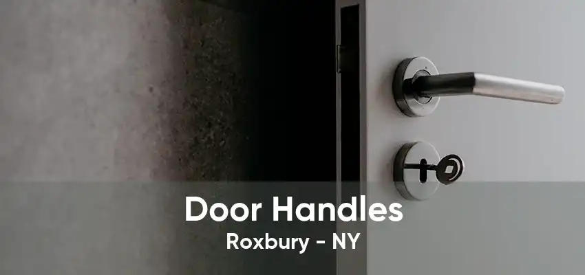 Door Handles Roxbury - NY