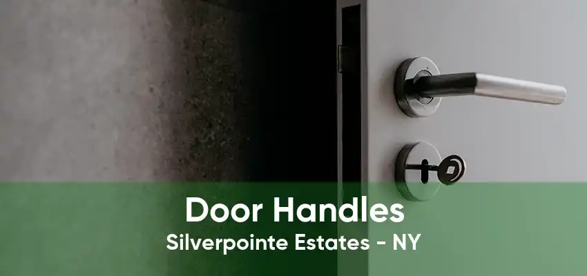 Door Handles Silverpointe Estates - NY