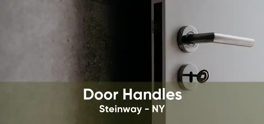 Door Handles Steinway - NY