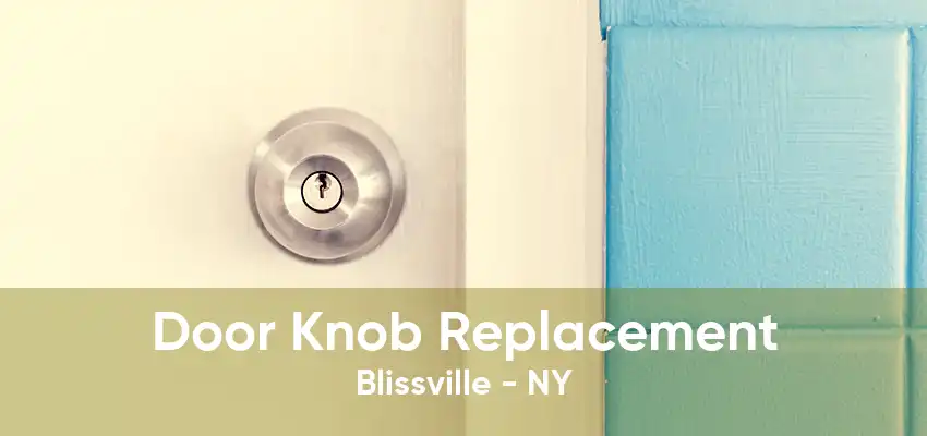 Door Knob Replacement Blissville - NY