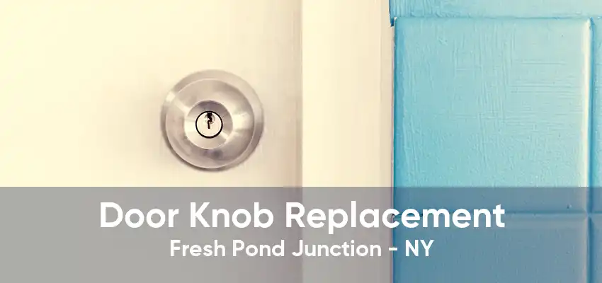 Door Knob Replacement Fresh Pond Junction - NY