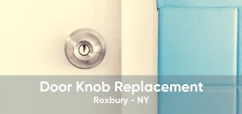 Door Knob Replacement Roxbury - NY