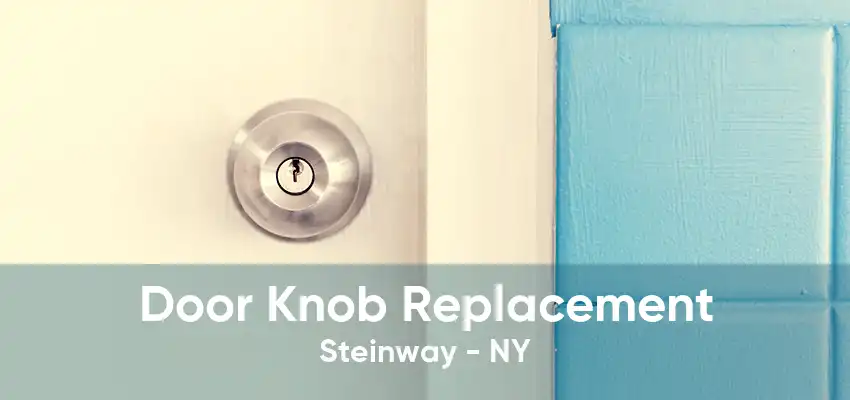 Door Knob Replacement Steinway - NY