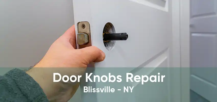 Door Knobs Repair Blissville - NY