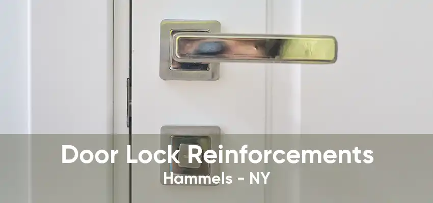 Door Lock Reinforcements Hammels - NY