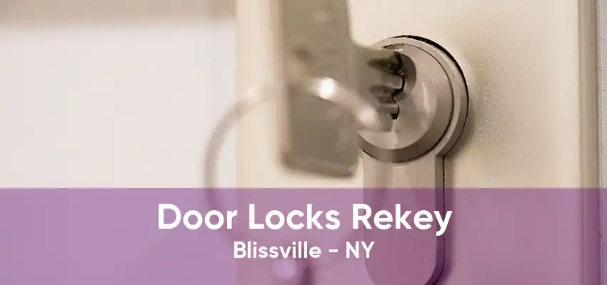 Door Locks Rekey Blissville - NY