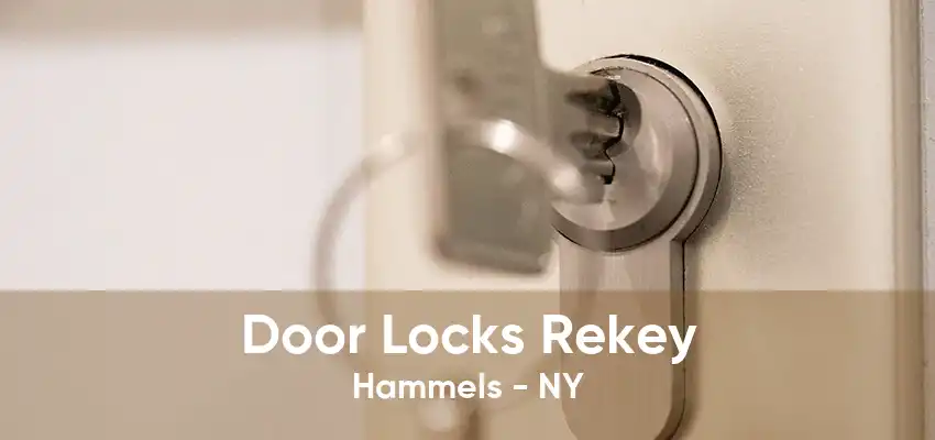 Door Locks Rekey Hammels - NY
