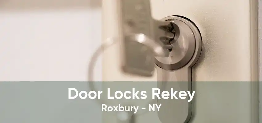 Door Locks Rekey Roxbury - NY