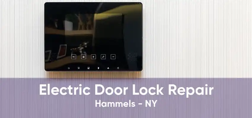Electric Door Lock Repair Hammels - NY