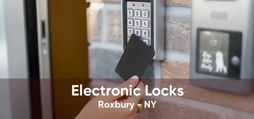 Electronic Locks Roxbury - NY