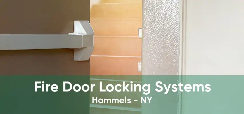 Fire Door Locking Systems Hammels - NY