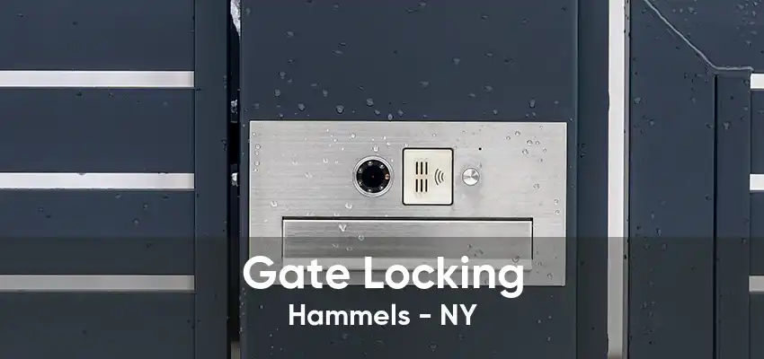 Gate Locking Hammels - NY