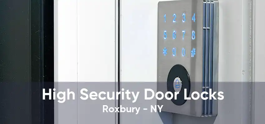 High Security Door Locks Roxbury - NY