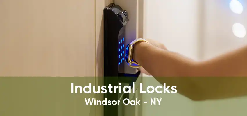 Industrial Locks Windsor Oak - NY