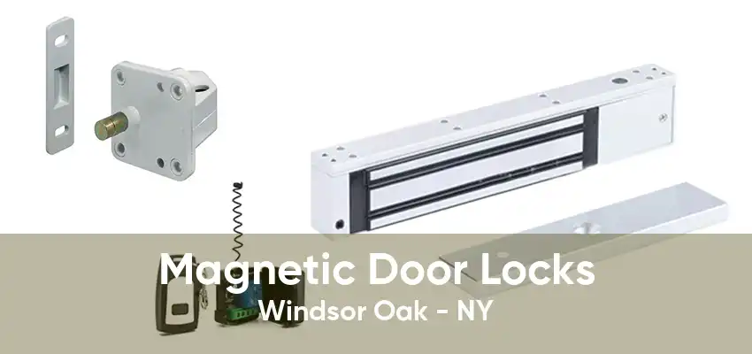 Magnetic Door Locks Windsor Oak - NY