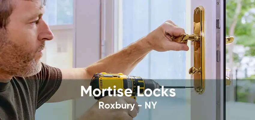 Mortise Locks Roxbury - NY