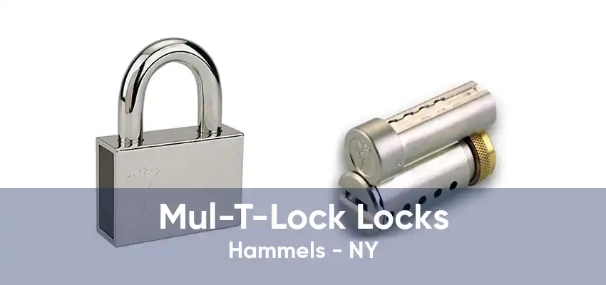 Mul-T-Lock Locks Hammels - NY