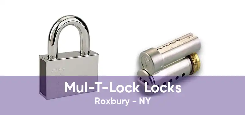 Mul-T-Lock Locks Roxbury - NY