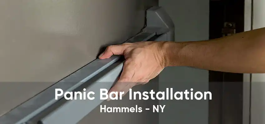 Panic Bar Installation Hammels - NY