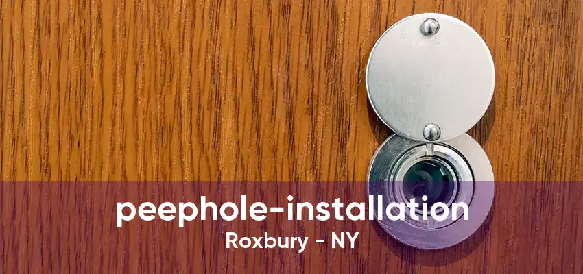 peephole-installation Roxbury - NY