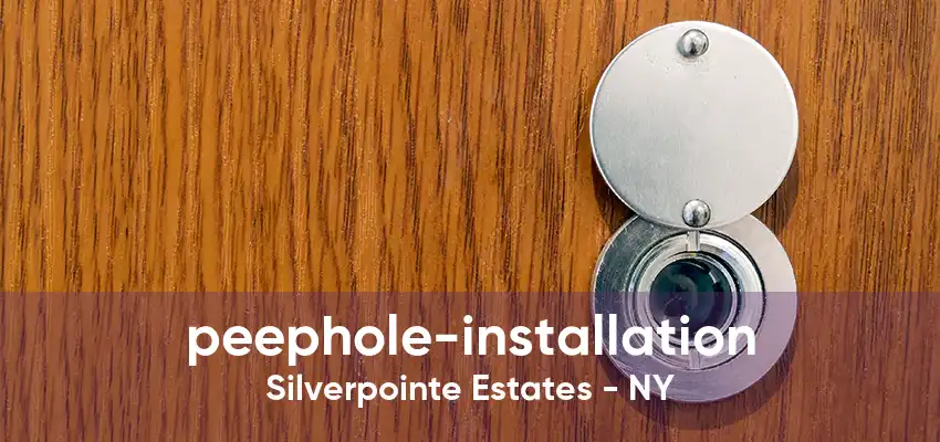 peephole-installation Silverpointe Estates - NY