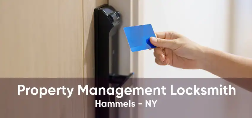 Property Management Locksmith Hammels - NY