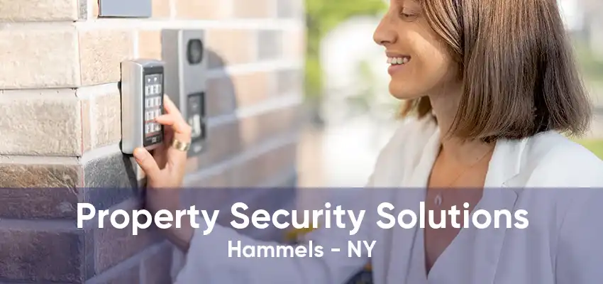 Property Security Solutions Hammels - NY