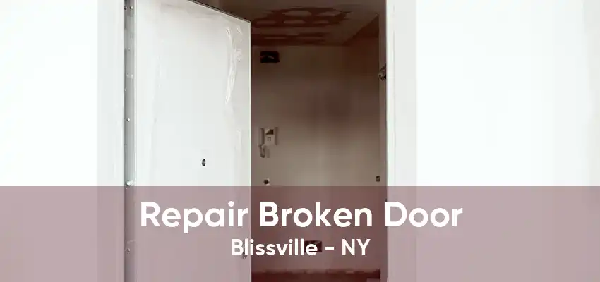 Repair Broken Door Blissville - NY