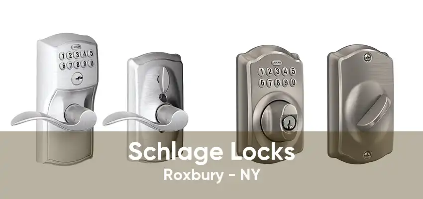 Schlage Locks Roxbury - NY