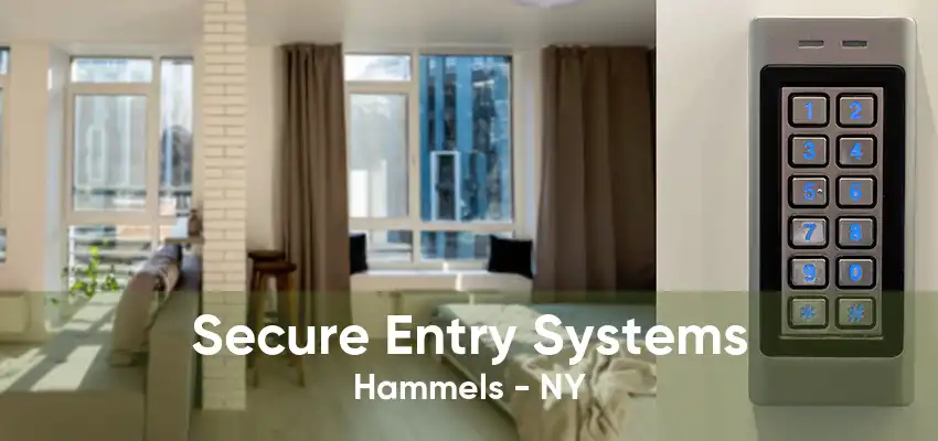 Secure Entry Systems Hammels - NY